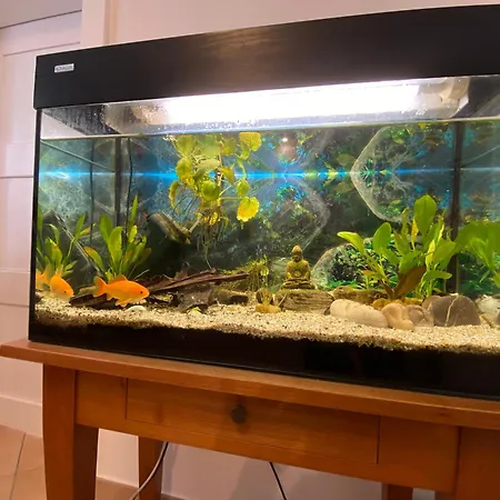 Gemuetliche Handwerkerwohnung Μόναχο